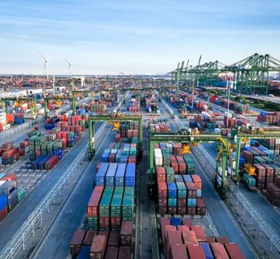 WhatsApp Image 2024-10-01 at 9.59.02 PM WhatsApp Image 2024-10-01 at 9.59.02 PM